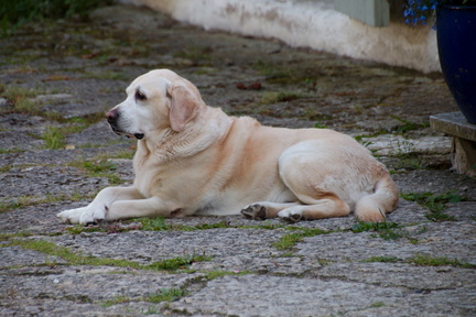 IMG_1890-1.jpg