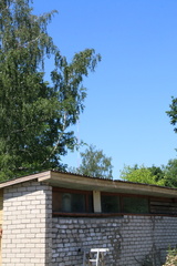 IMG 4667