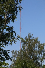 IMG 4680