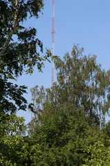 IMG 4681