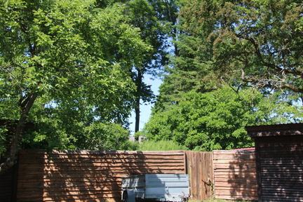 IMG 4673