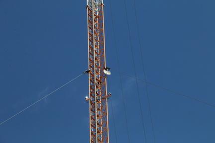IMG 4720