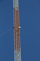 IMG 4723
