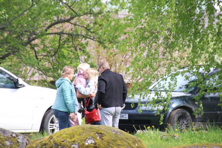 IMG 7888