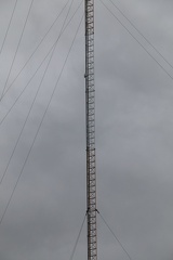 IMG 5892